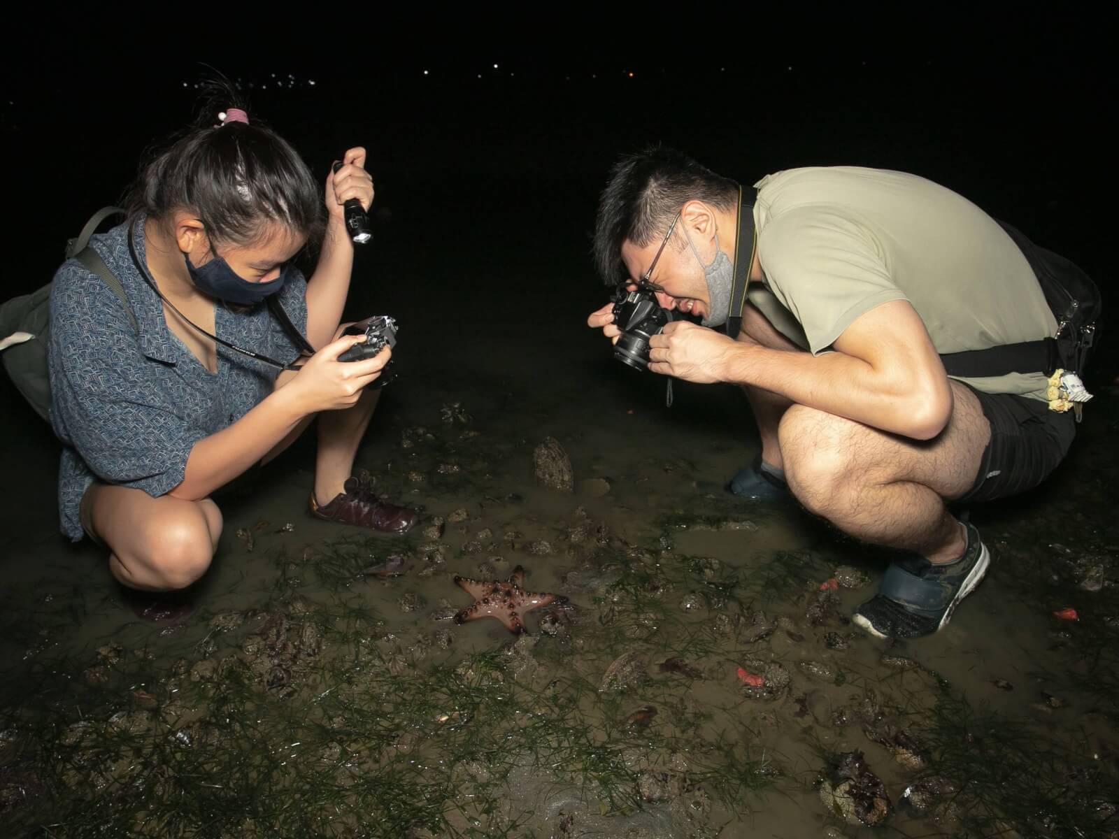Outdoor Educational Tour - Intertidal Exploration by The Untamed Paths