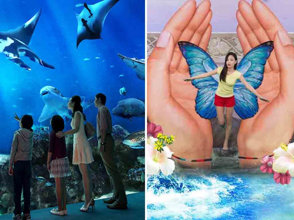 Special Bundle : SEA Aquarium + Trick Eye Museum Singapore